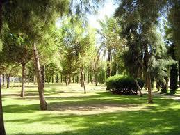 Parque Zafra